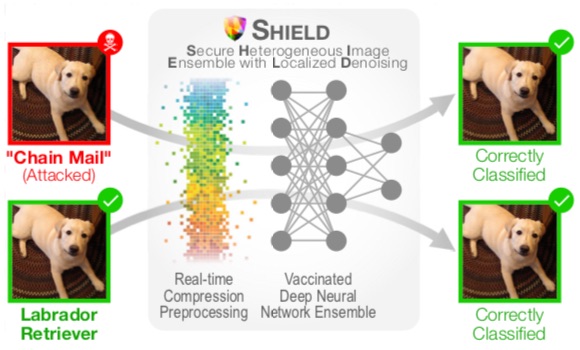 SHIELD: Fast, practical defense for deep learning