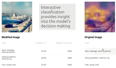 Interactive Classification: For Deep Learning Interpretation