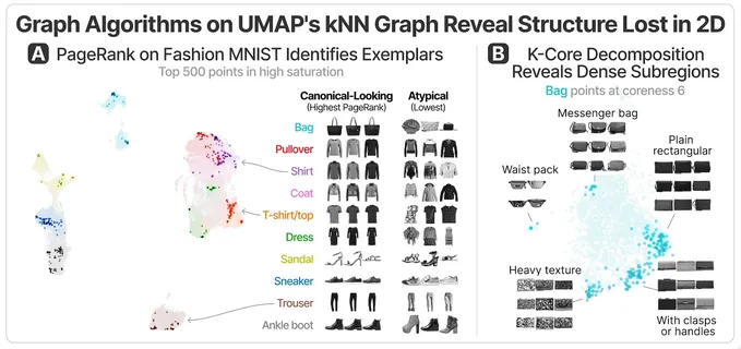 UMAP kNN Graph: Making Sense of Dimensionality Reduction Through the Lens of Network Science