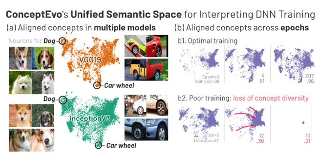 ConceptEvo: A unified interpretation framework to reveal the evolution of concepts during DNN training
