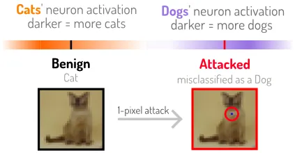 NeuralDivergence: Exploring and Understanding Neural Networks by Comparing Activation Distributions