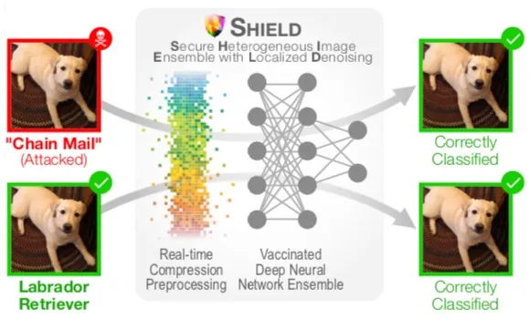 SHIELD: Fast, practical defense for deep learning